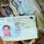 Прикордонники виявили в Карпатах скелети двох людей