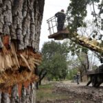 Атака РФ: Зеленський назвав масштаби відключень