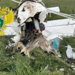 У Рязанській області розбився легкомоторний літак: пілот загинув (фото)