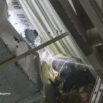 Удар по меблевому магазині в Харкові: рятувальники показали наслідки (фото)