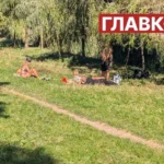 Аномально теплий кінець вересня. Кияни загорають на пляжах та в парках