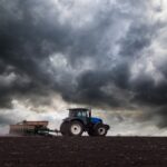 Українські аграрії засіяли 74% озимих культур