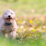 Гороскоп для всіх знаків зодіаку на 23 жовтня 2025 року