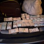 В Україні викрили схему "тіньової" вирубки дубів на десятки мільйонів