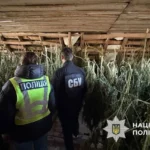 50 мішків коноплі та 5 кг канабісу: у Києві затримано «наркоаграріїв»
