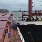 На Дунаї балкер протаранив суховантаж з українською пшеницею