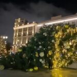 У Москві впала новорічна ялинка