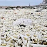 В Англії на узбережжя викинуло тонни картоплі фрі та цибулі