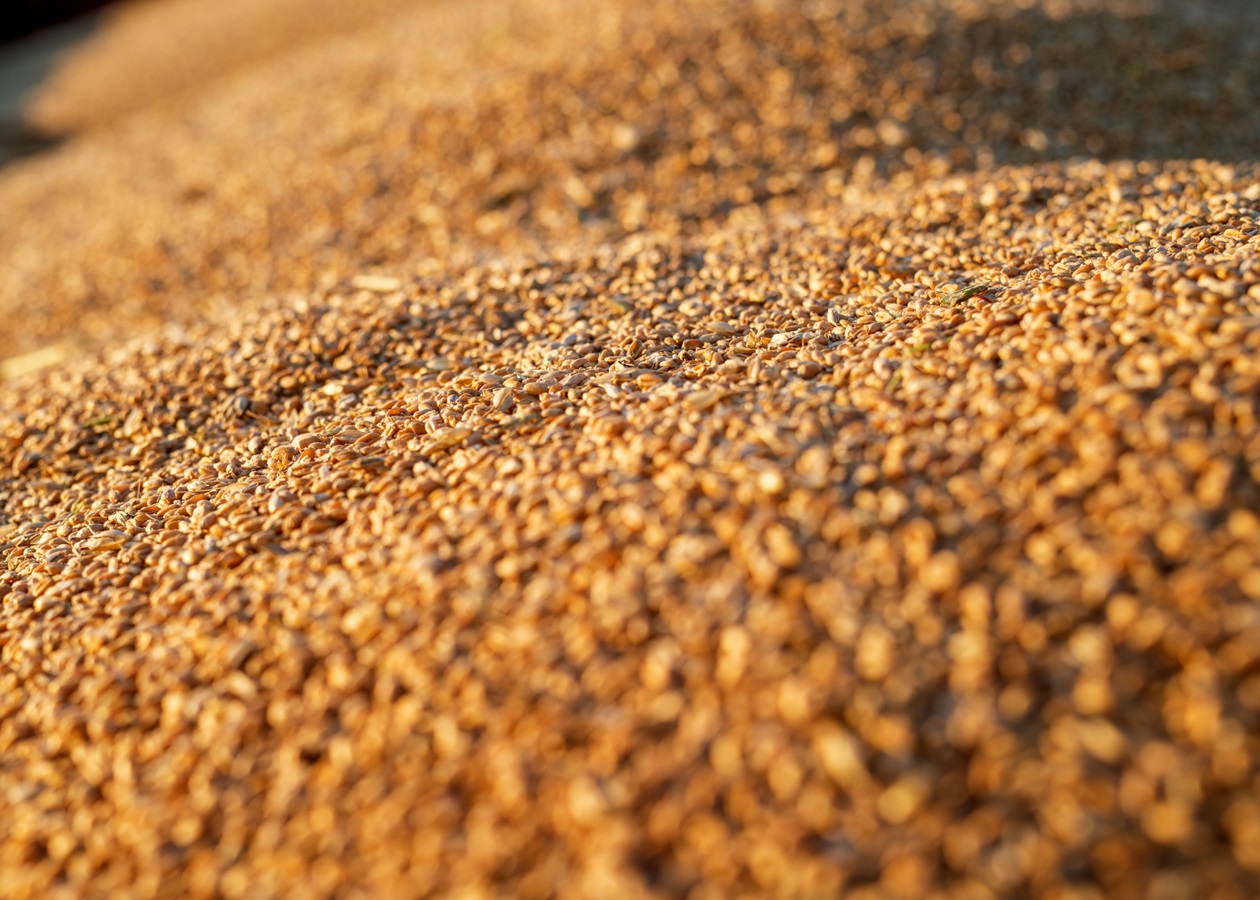 Україна скоротила експорт агропродукції у січні