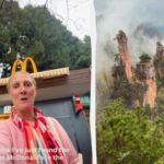 McDonald's із видом як в Аватарі: відео з китайського парку стало вірусним