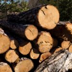Попит на дрова в Україні досяг рекордного рівня